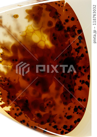 macro mineral stone Agata muschiata on a white background macro mineral stone Agata muschiata on a white background 118763032