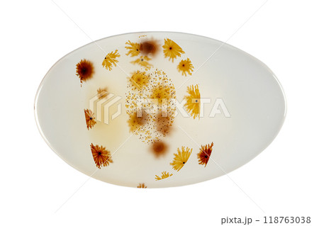 macro mineral stone Agata muschiata on a white background macro mineral stone Agata muschiata on a white background 118763038