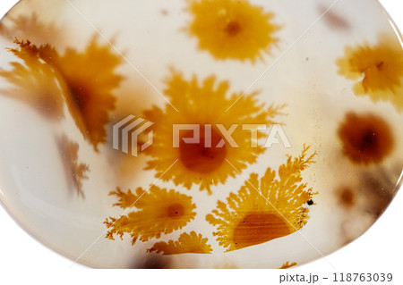 macro mineral stone Agata muschiata on a white background macro mineral stone Agata muschiata on a white background 118763039