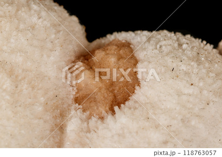 Macro stone mordenite mineral on a black background 118763057
