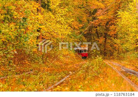 Autumn forest through which an old tram rides (Ukraine) Autumn forest through which an old tram rides (Ukraine) 118763184