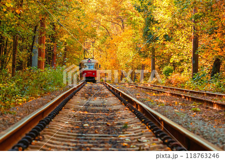 Autumn forest through which an old tram rides (Ukraine) Autumn forest through which an old tram rides (Ukraine) 118763246