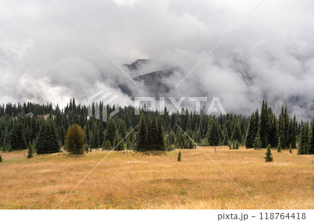 Stunning views of the lush Burroughs Mountains along Sunrise Rim Trail. Stunning views of the lush Burroughs Mountains along Sunrise Rim Trail. 118764418