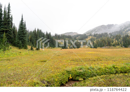 Stunning views of the lush Burroughs Mountains along Sunrise Rim Trail. 118764422
