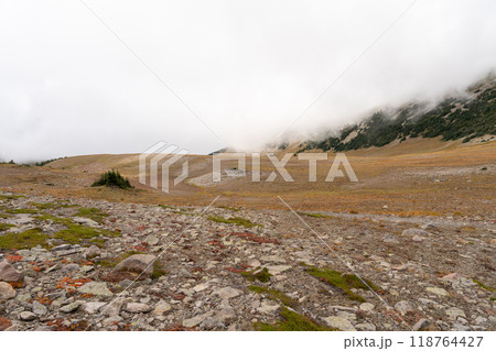 Stunning views of the lush Burroughs Mountains along Sunrise Rim Trail. 118764427