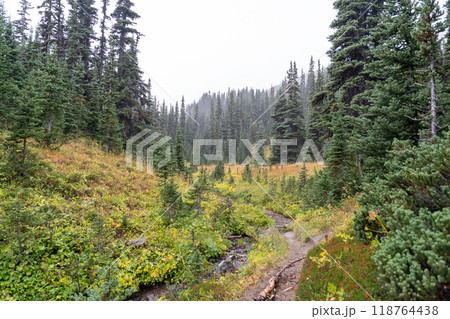 Stunning views of the lush Burroughs Mountains along Sunrise Rim Trail. Stunning views of the lush Burroughs Mountains along Sunrise Rim Trail. 118764438