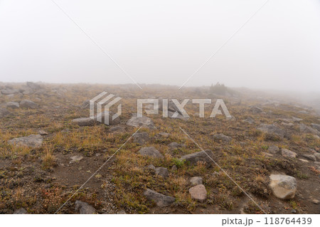 Stunning views of the lush Burroughs Mountains along Sunrise Rim Trail. 118764439