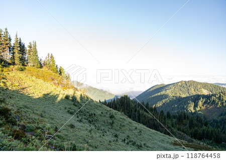 Beautiful views overlooking lush Mt. Rainier National Park from Tolmie Peak. 118764458