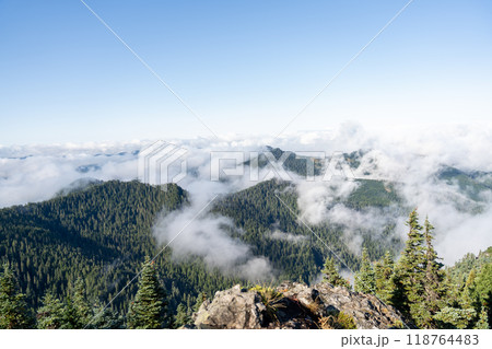 Beautiful views overlooking lush Mt. Rainier National Park from Tolmie Peak. 118764483