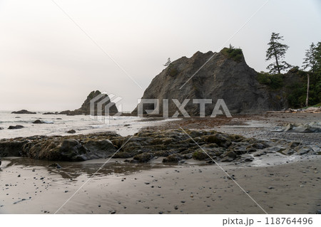 A beautiful view of giant rocks and ocean at Rialto Beach on a cloud day. 118764496