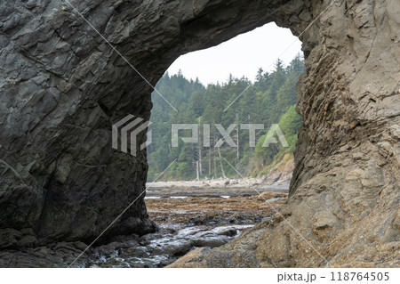 A beautiful view of giant rocks and ocean at Rialto Beach on a cloud day. 118764505