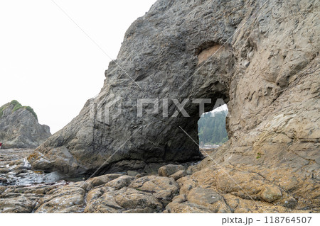 A beautiful view of giant rocks and ocean at Rialto Beach on a cloud day. 118764507