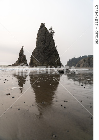 A beautiful view of Split Rock at Rialto Beach on a cloudy day. 118764515