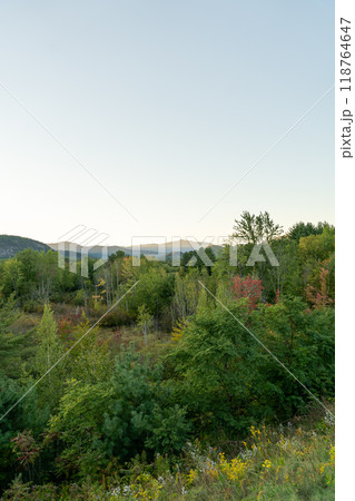 A beautiful view of mountains in White Mountain National Forest. 118764647
