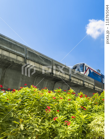 タイ・バンコクを走行するスカイトレイン車両 / Bangkok, Thailand タイ・バンコクを走行するスカイトレイン車両 / Bangkok, Thailand 118765044