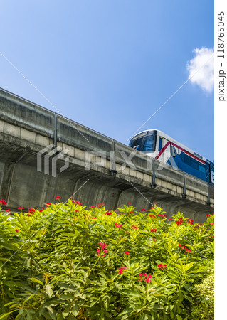 タイ・バンコクを走行するスカイトレイン車両 / Bangkok, Thailand タイ・バンコクを走行するスカイトレイン車両 / Bangkok, Thailand 118765045