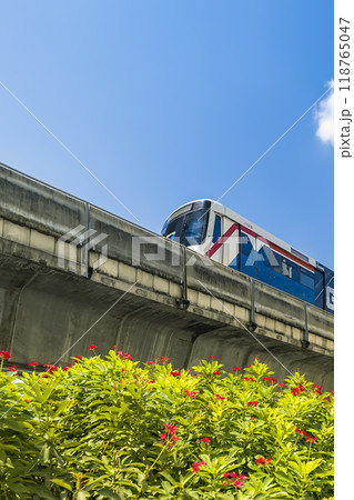 タイ・バンコクを走行するスカイトレイン車両 / Bangkok, Thailand 118765047