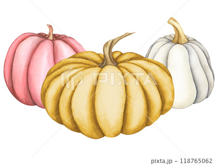 Set of pumpkins. Watercolor pumpkin in pastel colors of white, pink and orange. Illustrations for autumn design. Template for cards for Thanksgiving and Halloween 118765062