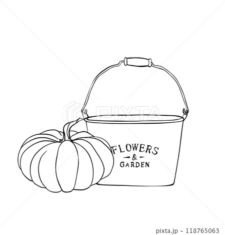 Garden Bucket and Pumpkin. Graphic vector Illustration of Gardening Tools painted by black inks. Linear drawing Autumn vegetables. Engraving for designs greeting cards. Sketch in line art style 118765063