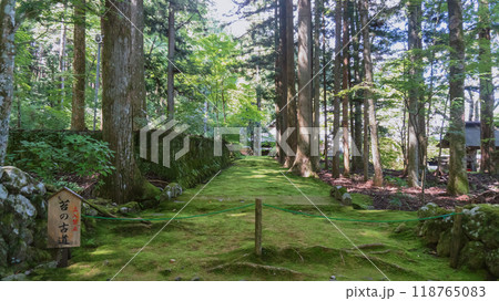 光前寺の苔の古道/長野県駒ヶ根市 光前寺の苔の古道/長野県駒ヶ根市 118765083