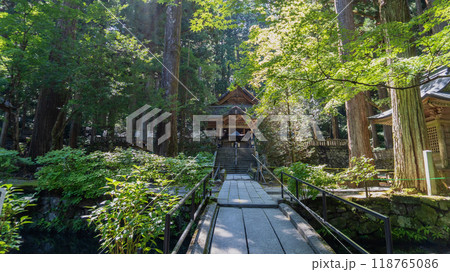 光前寺の本堂への参道／長野県駒ヶ根市 118765086