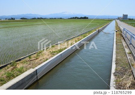 農業用水路 農業用水路 118765299