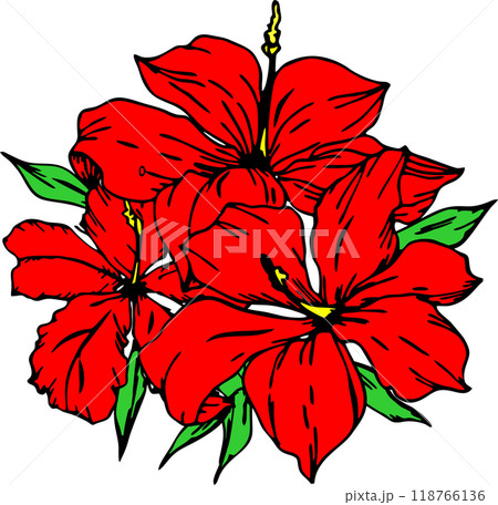 drawing of a branch of red flowers with a black outline on a white background, logo, art drawing of a branch of red flowers with a black outline on a white background, logo, art 118766136