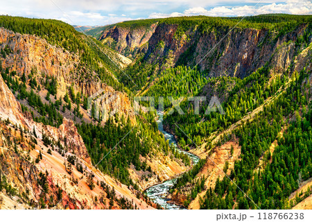 Grand Canyon of the Yellowstone at Yellowstone National Park. UNESCO world heritage in Wyoming, United States 118766238