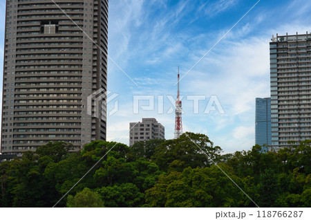 浜離宮庭園から観る東京タワーの風景 118766287