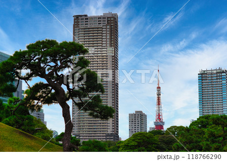 浜離宮庭園から観る東京タワーの風景 浜離宮庭園から観る東京タワーの風景 118766290