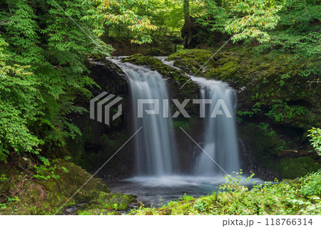 【山梨県】 忍野の桂川・鐘山の滝 　9月 118766314