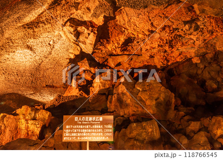 【山梨県】西湖コウモリ穴のコウモリ生息地 118766545