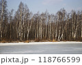 Landscape, winter forest, trees and an icy river. 118766599