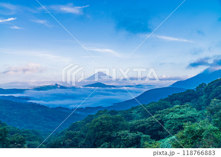 【神奈川県】芦ノ湖雲海の向こうに富士山 118766883