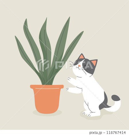 Cute Cartoon Flat Vector Cat Reaching for a Potted Snake Plant, Sansevieria. Vector Illustration for Cat Lovers. Pet Kitten Home Life Design Template 118767414