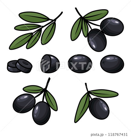 Flat Vector Black Olives and Branch Outline Set. Hand-Drawn Olive Tree Berries and Branch Clipart. Olive Twig with Leaves for Olive Oil Products, Packaging, Food Design Template Flat Vector Black Olives and Branch Outline Set. Hand-Drawn Olive Tree Berries and Branch Clipart. Olive Twig with Leaves for Olive Oil Products, Packaging, Food Design Template 118767431
