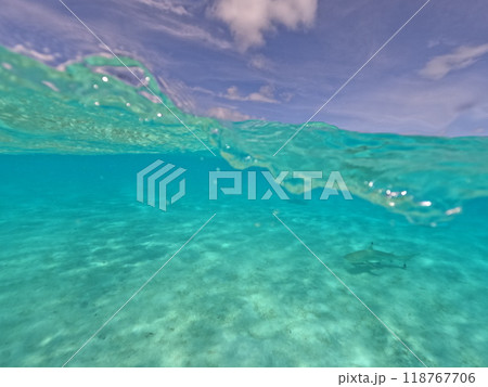 透明な海 118767706