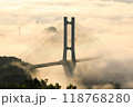 秩父の雲海とハープ橋 118768280