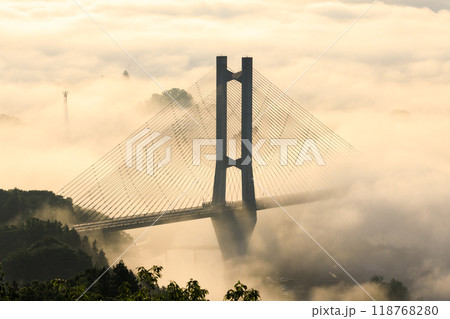 秩父の雲海とハープ橋 118768280