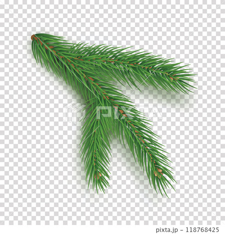 Realistic branch of christmas tree on transparent background. Merry Christmas and Happy New Year decoration. Green pine tree branch vector illustration. Conifer plant detailed 3d element. 118768425