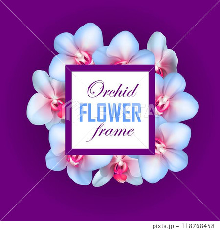Orchid square frame violet background. White banner with tropical flowers. Vector illustration Orchid square frame violet background. White banner with tropical flowers. Vector illustration 118768458