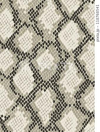 パイソン柄イラスト背景素材 118768541