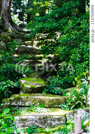 滋賀県愛知郡愛荘町　金剛輪寺（湖東三山）　明寿院　庭園（国指定名勝）桃山時代 118768906