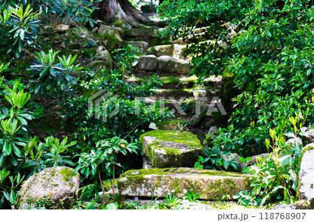 滋賀県愛知郡愛荘町　金剛輪寺（湖東三山）　明寿院　庭園（国指定名勝）桃山時代 118768907