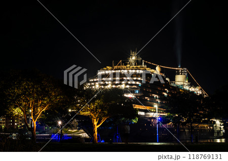 長崎港客船入港（Adora Magic City）水辺の森公園からの夜景【長崎市】 118769131