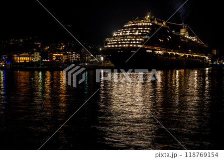 長崎港客船入港(Adora Magic City)水辺の森公園からの夜景【長崎市】 長崎港客船入港(Adora Magic City)水辺の森公園からの夜景【長崎市】 118769154