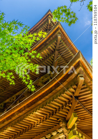 滋賀県愛知郡愛荘町 金剛輪寺(湖東三山) 三重塔(重要文化財) 青もみじ 滋賀県愛知郡愛荘町 金剛輪寺(湖東三山) 三重塔(重要文化財) 青もみじ 118769584