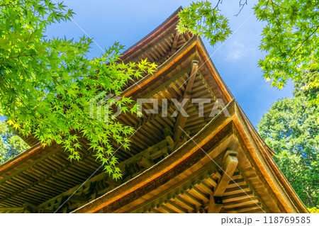 滋賀県愛知郡愛荘町 金剛輪寺(湖東三山) 三重塔(重要文化財) 青もみじ 滋賀県愛知郡愛荘町 金剛輪寺(湖東三山) 三重塔(重要文化財) 青もみじ 118769585