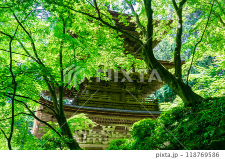 滋賀県愛知郡愛荘町　金剛輪寺（湖東三山）　三重塔（重要文化財）　青もみじ 118769586