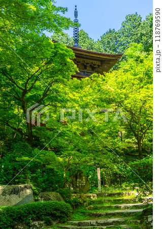 滋賀県愛知郡愛荘町　金剛輪寺（湖東三山）　三重塔（重要文化財）　青もみじ 118769590